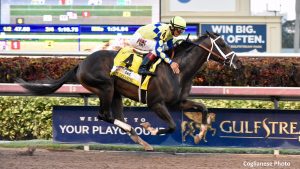 always dreaming kentucky derby w