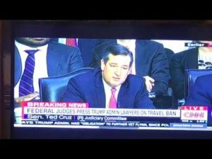 sally yates crushes ted cruz on 1