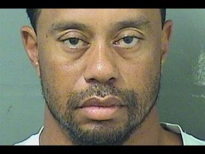tiger woods arrested for dui nea 1