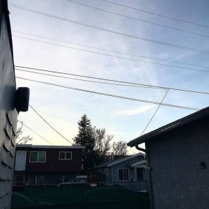 30816 thumb