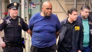 hey ny post miranda devine frank 1
