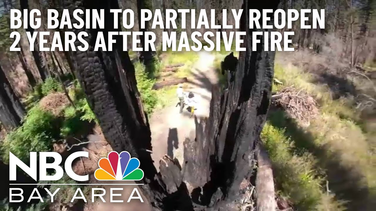 Big Basin Redwoods To Partially Reopen 2 Years After Devastating Fire