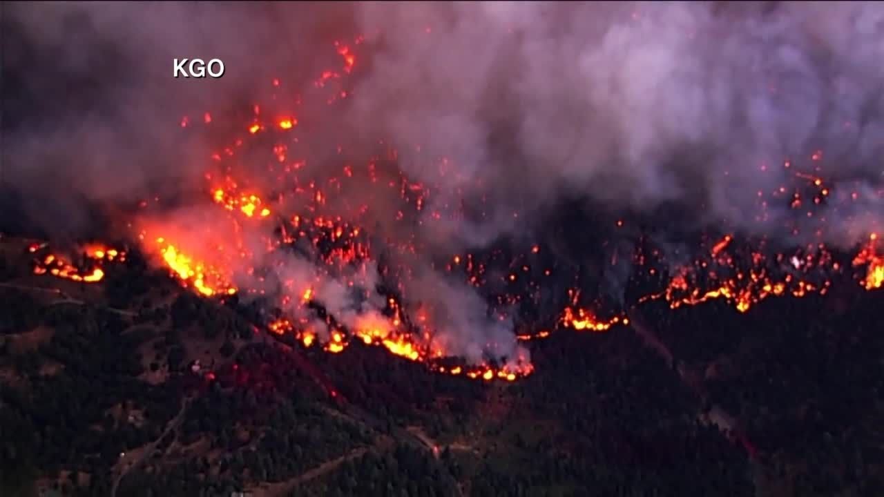 Charred Oak Fire Landscape