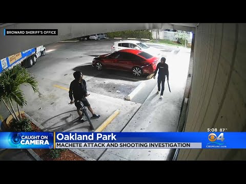 Machete Attack End With Shooting In Oakland Park