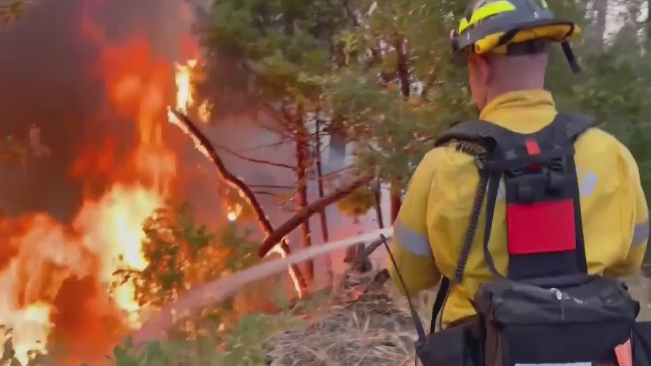 Newsom Declares Emergency As Oak Fire Continues Explosive Growth