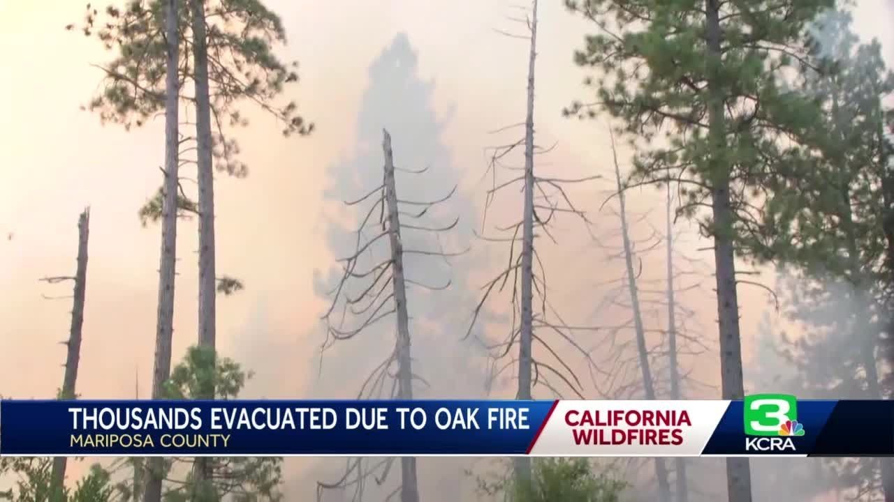 Oak Fire Evening Update July 24, 2022