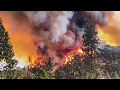 Oak Fire Near Yosemite Burns Over 4,000 Acres, Zero Percent Contained