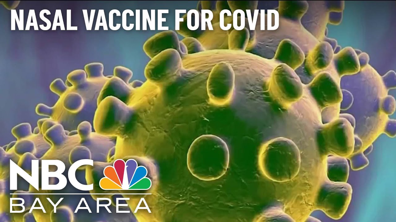 Stanford Researchers Looking Into Covid 19 Nasal Spray