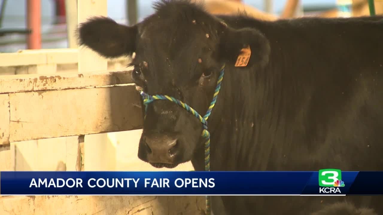 The Amador County Fair Is Up And Running This Weekend. Organizers Are Extending An Invitation…