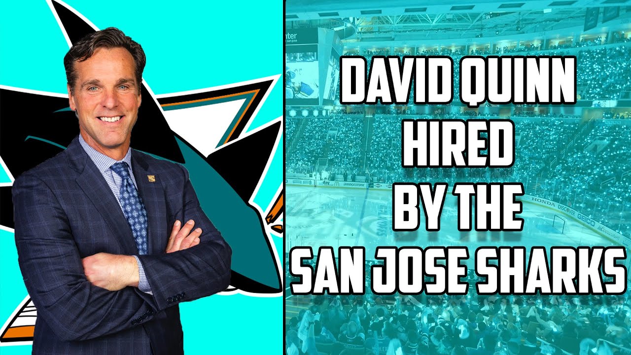 The San Jose Sharks Hire David Quinn! My Thoughts & Reaction!