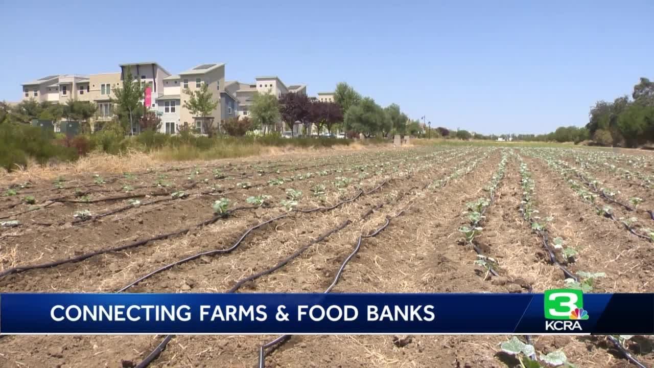 Us Agriculture Secretary Visits Yolo County Food Bank