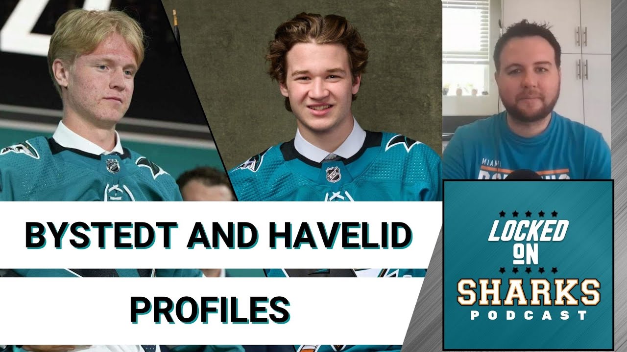 What Are The San Jose Sharks Getting In Filip Bystedt And Mattias Havelid?