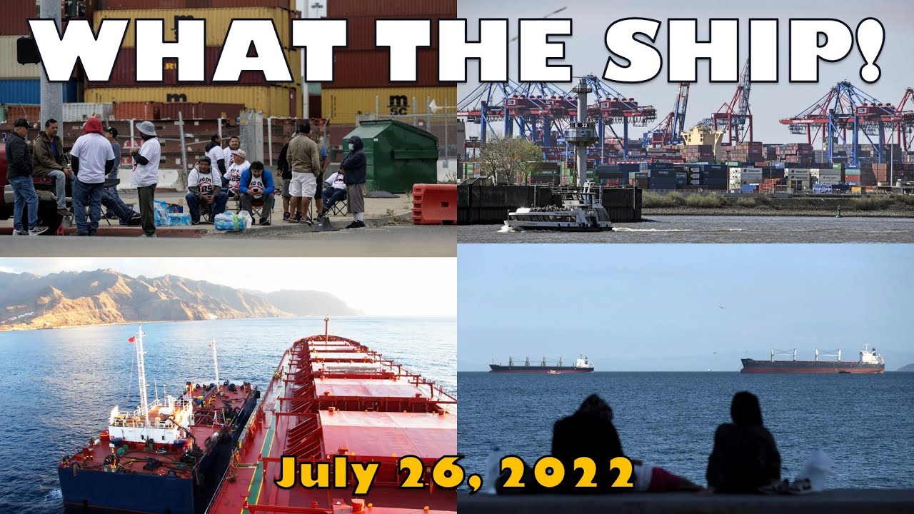 What The Ship! Ukraine Grain, Oakland Strike, European Ports, Old Fuel Is The Best & Whale Watching!