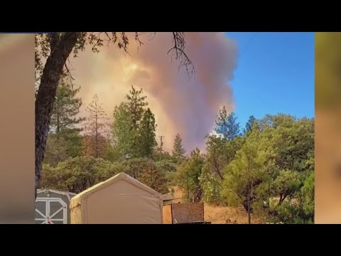 Yosemite’s Oak Fire Explodes In Size; Governor Newsom Declares Emergency