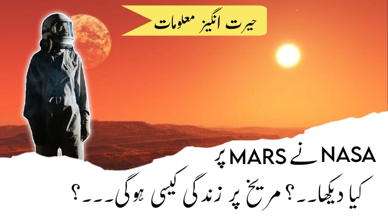 A Spacex Mission To Mars | The Info Times | Documentry 2022