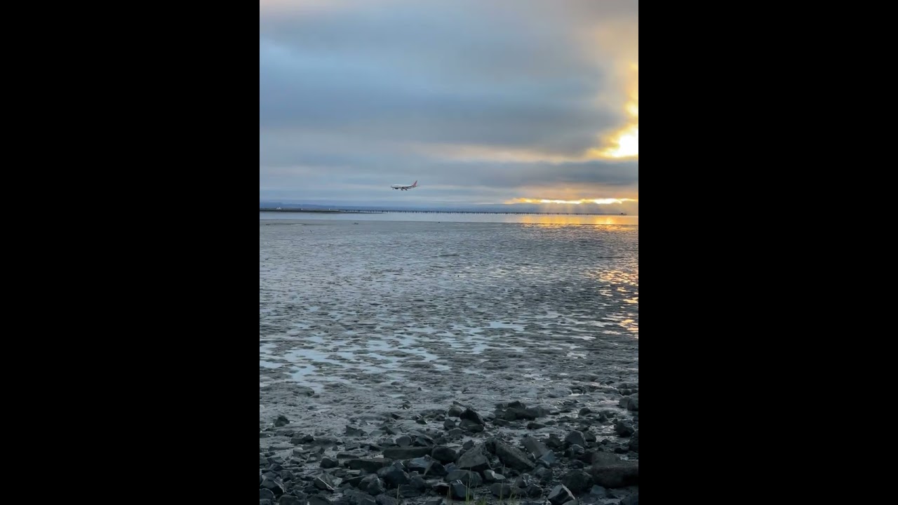 Air India Landing Sfo San Francisco International Airport