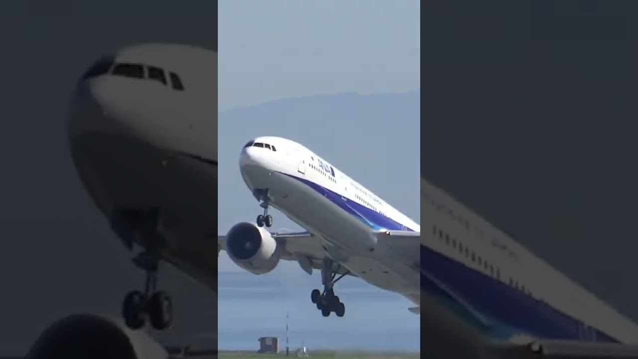 All Nippon Airways 777 300er Takeoff From Sfo #shorts