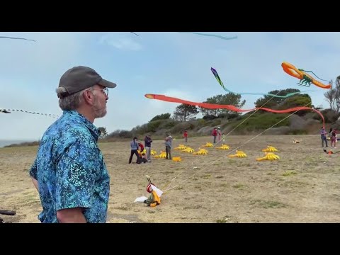 Annual Berkeley Kite Festival Cancellation Likely Permanent