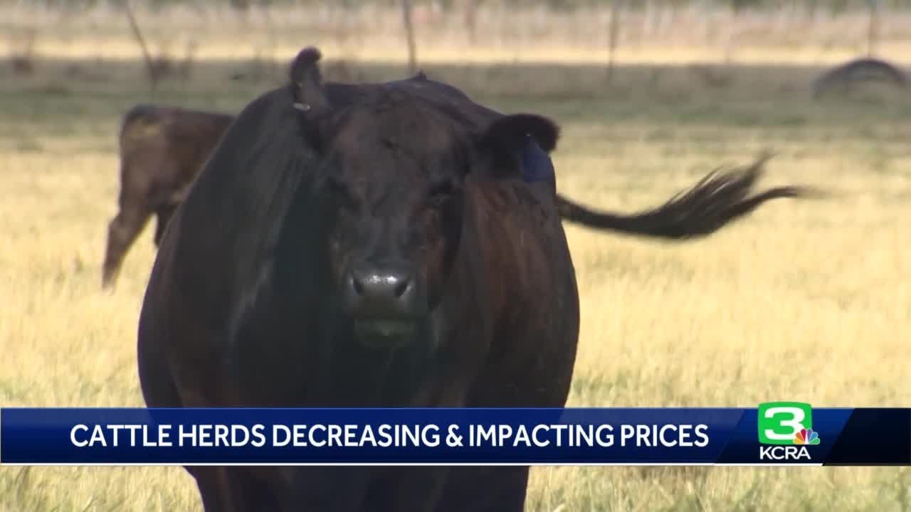 Beef Prices Are Surging In The Us, But What’s Causing It?