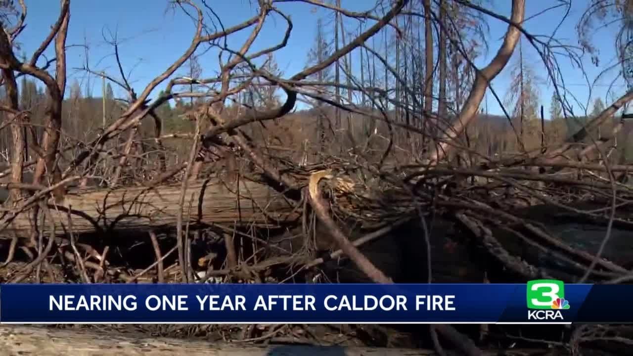 Caldor Fire One Year Later