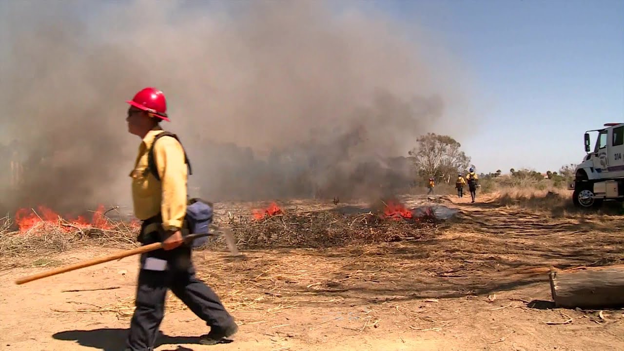 Controlled Fire Near Ucsb Campus Point Planned Mid September