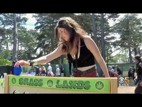 ‘curated Cannabis Experience’ Grass Lands Returns To Outside Lands