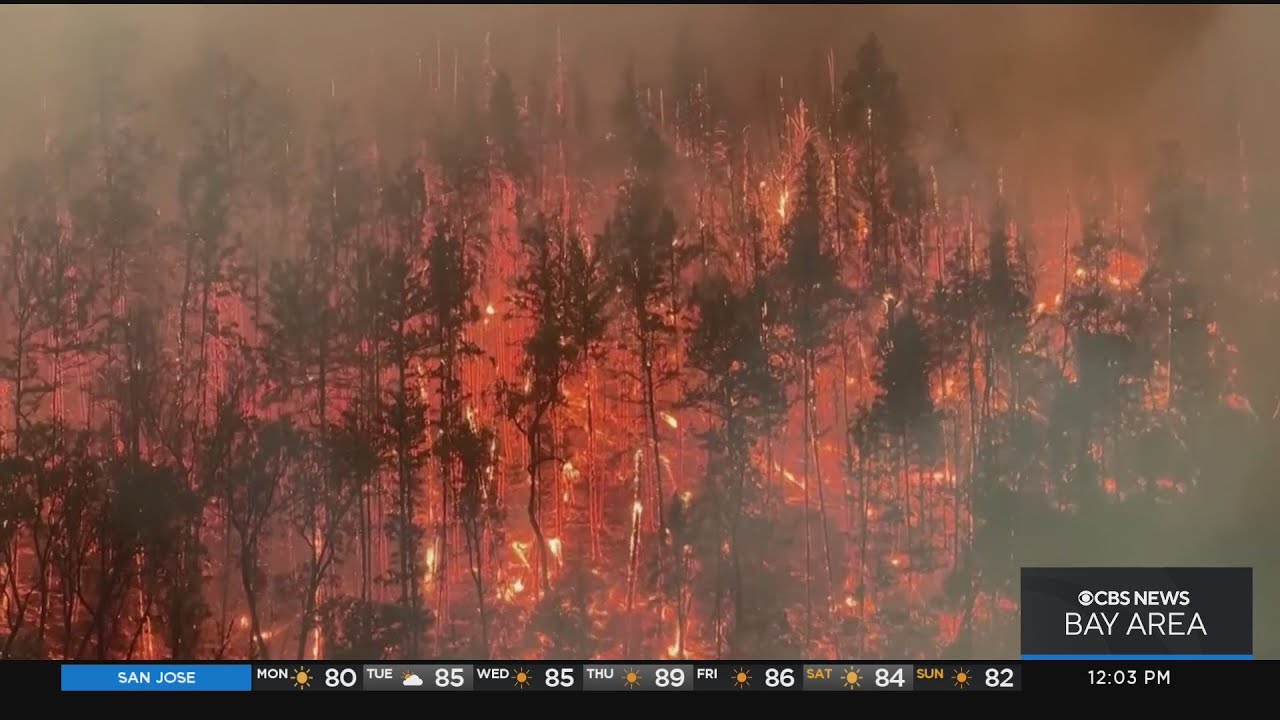 Deadly Mckinney Fire Burns Towards Oregon Border