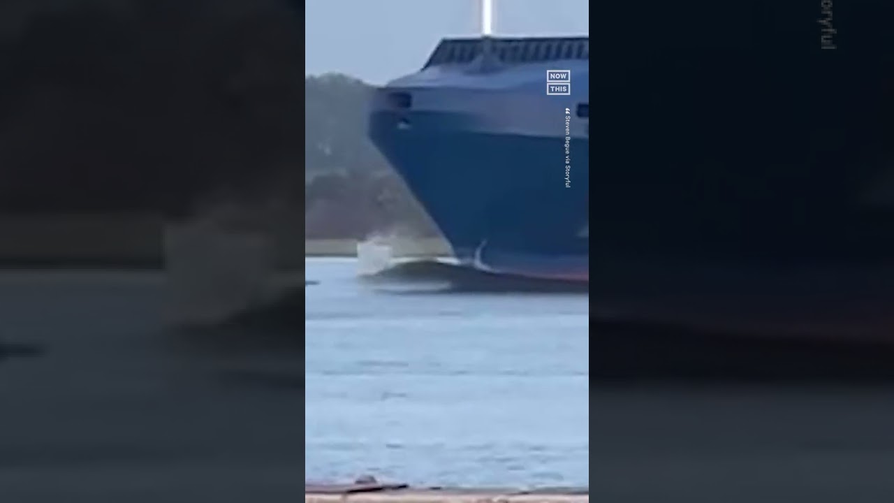 Dolphins Hitch A Ride On Cargo Ship Wake 🐬🌊