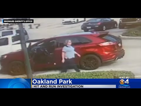 Driver Who Hit A Toddler In Oakland Park Hit And Run Caught On Camera