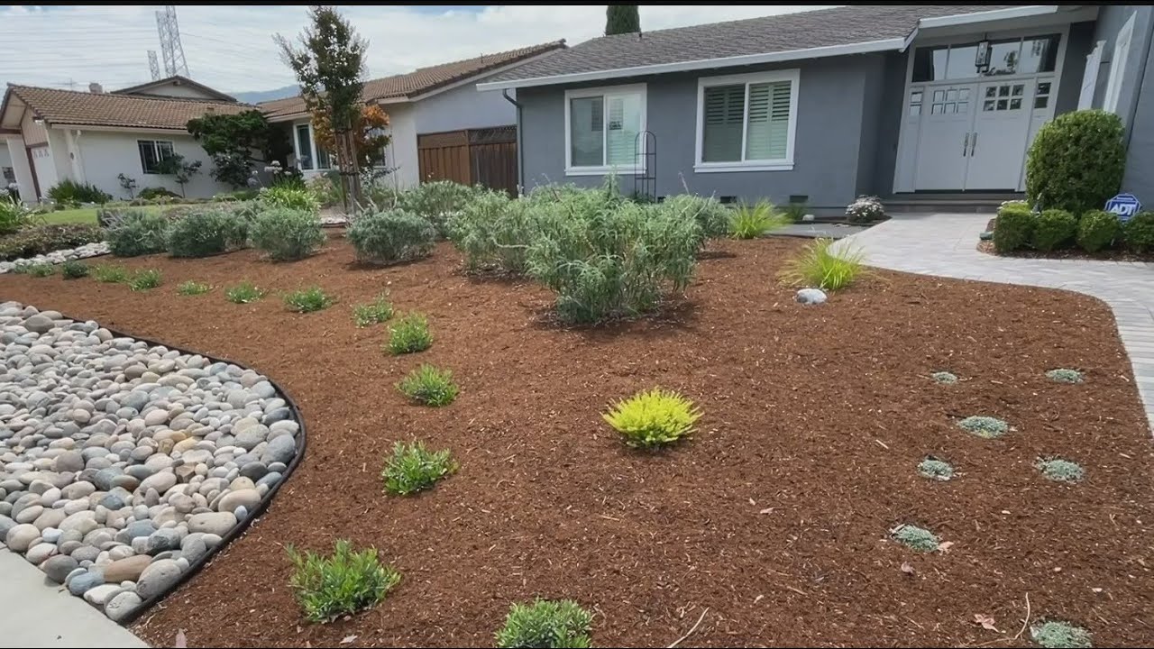 Drought Friendly Lawn Makeovers Take Root Among Santa Clara County Homeowners