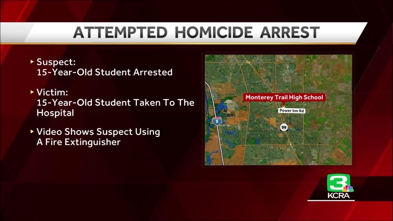 Elk Grove Area High School Student Faces Attempted Homicide After Attacking Another Student