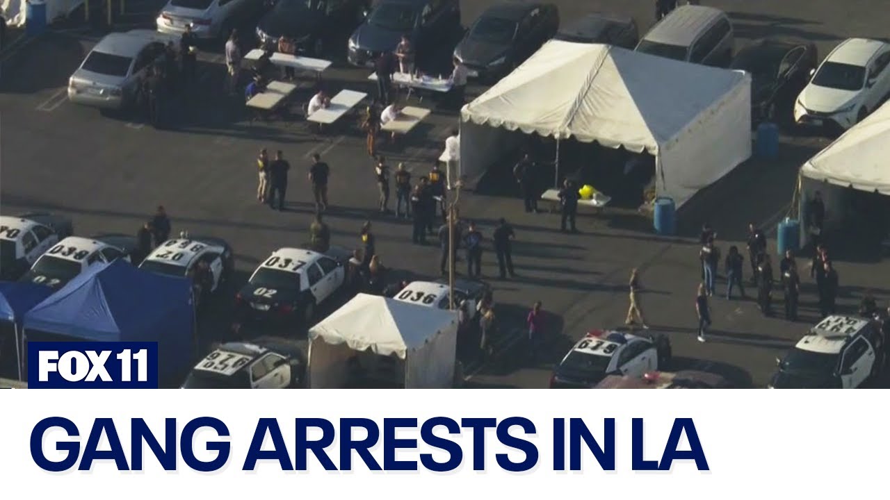 Fbi: 28 Arrested In La Gang Sweep