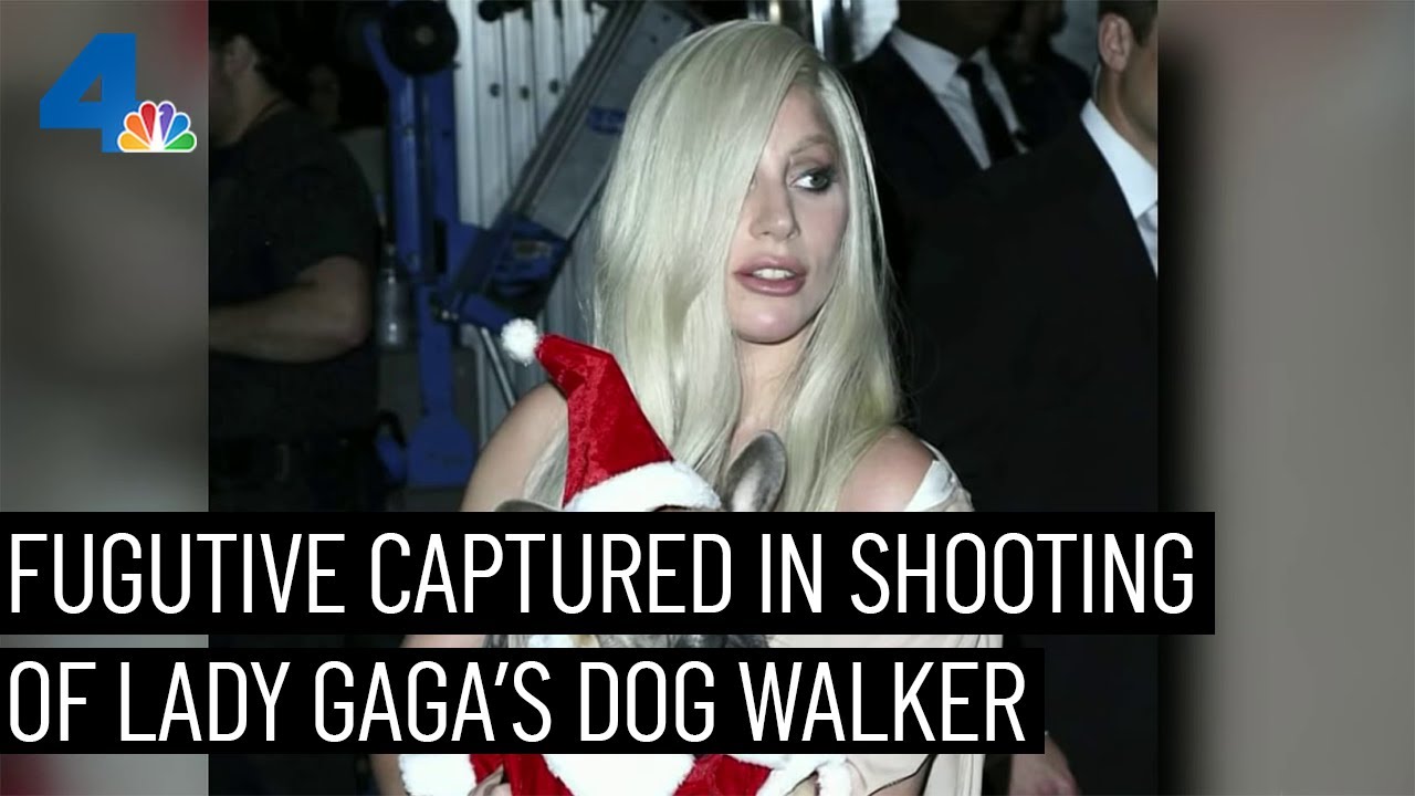 Fugitive Caught In Lady Gaga Dog Walker Shooting | Nbcla