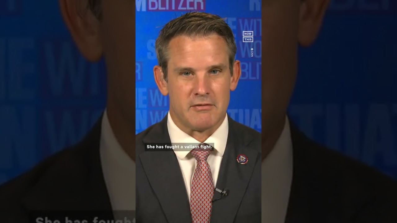 Gop Rep. Adam Kinzinger: ‘liz Cheney Is Standing Up Against Evil’