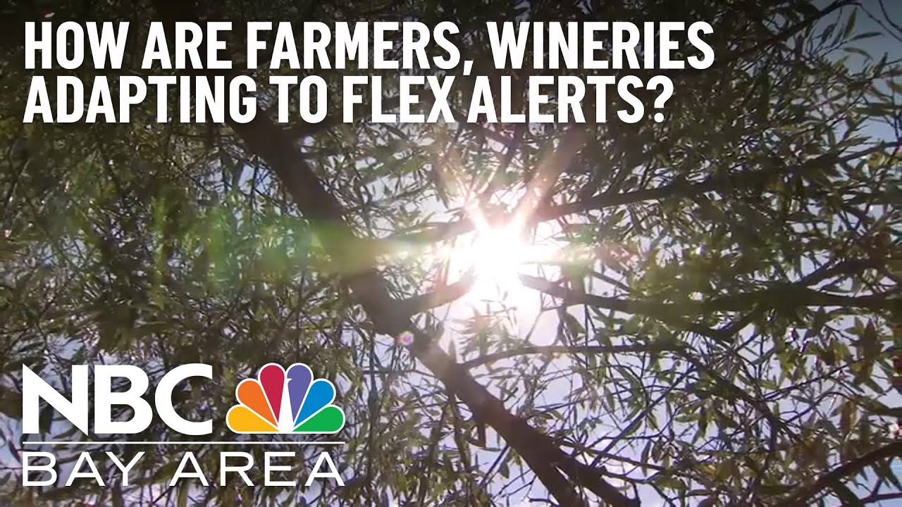 How Are Wineries, Farmers Adapting To Heat And Flex Alert?