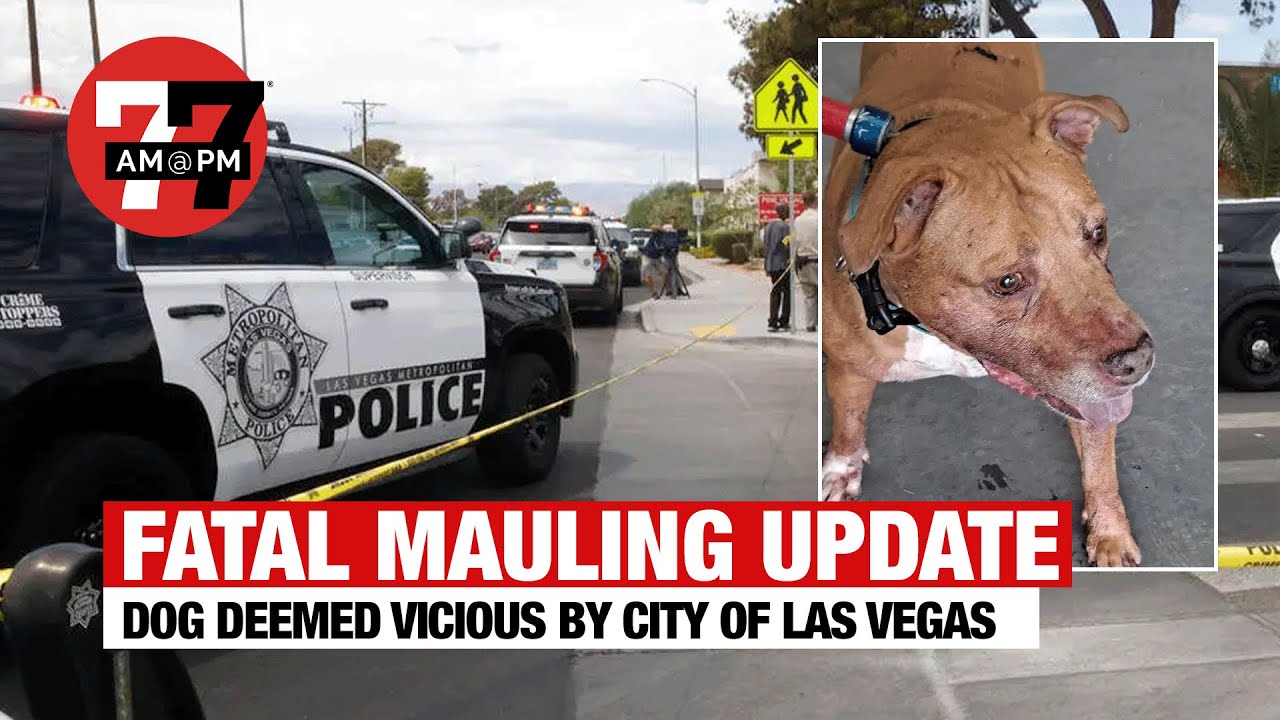 Las Vegas News | 7@7pm For Monday, August 22, 2022