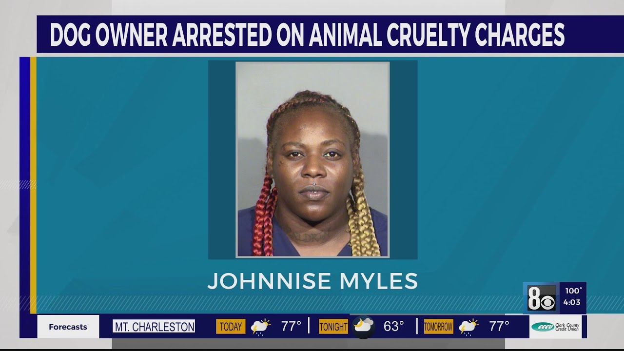 Las Vegas Woman Arrested On Animal Cruelty Charges In Death Of Pitbull