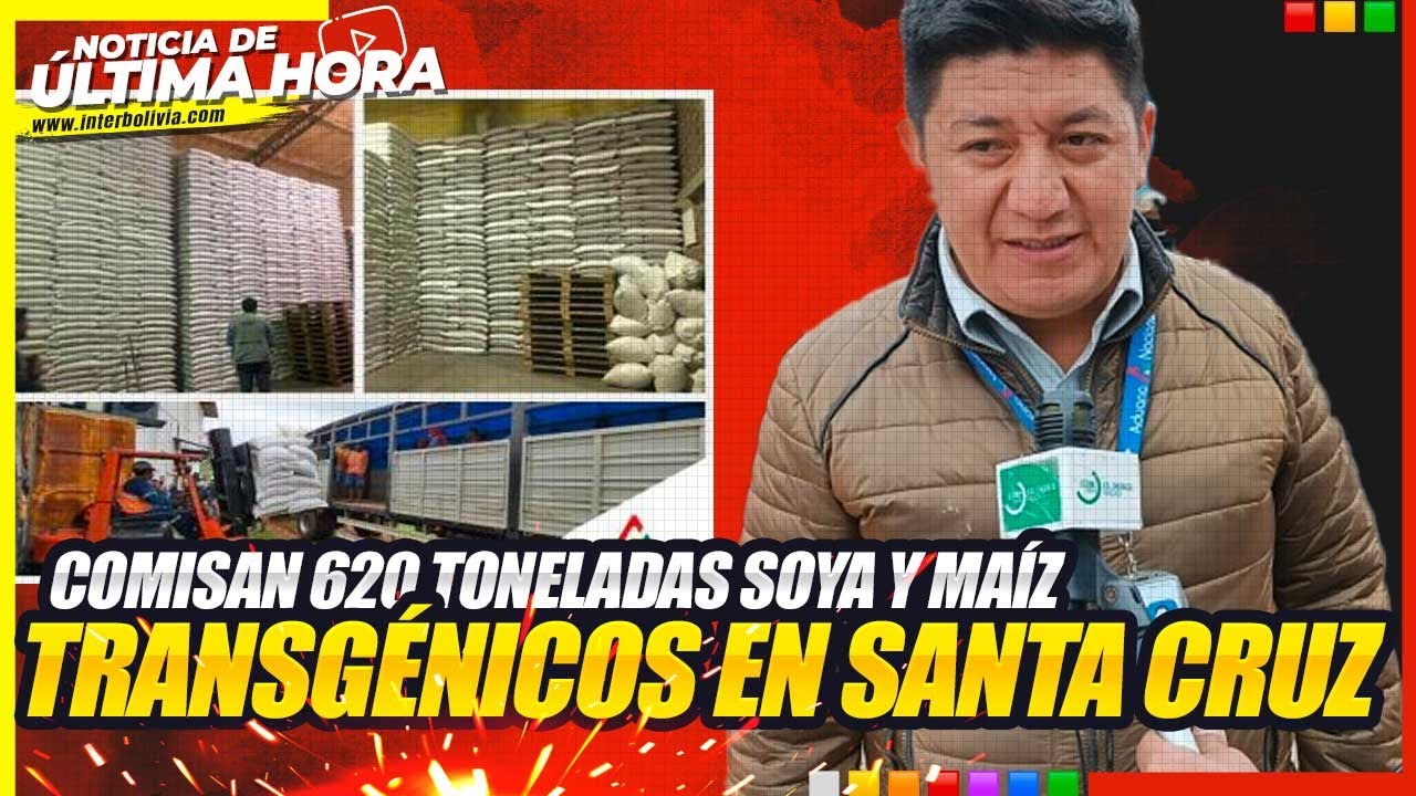 🔴mega Operativo: Comisan 620 Toneladas Soya Y Maíz Transgénicos En Santa Cruz