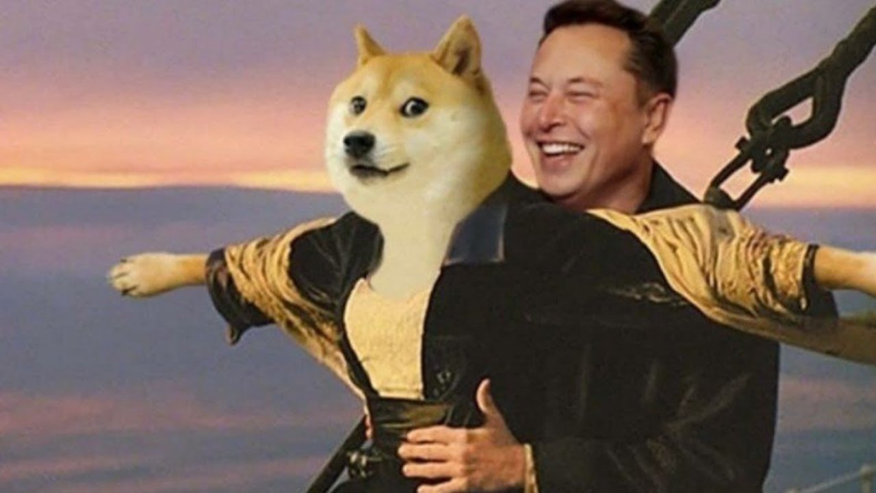 Officially Announced By Elon Musk That Shiba Inu Coin Is Programmed To Hit $0.10 In 90 Days! – Shib