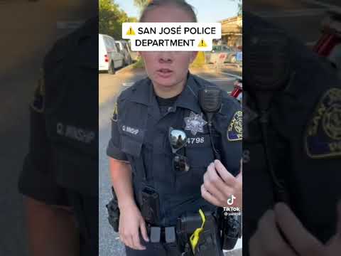 San Jose, California – Scared Idiot Pigs