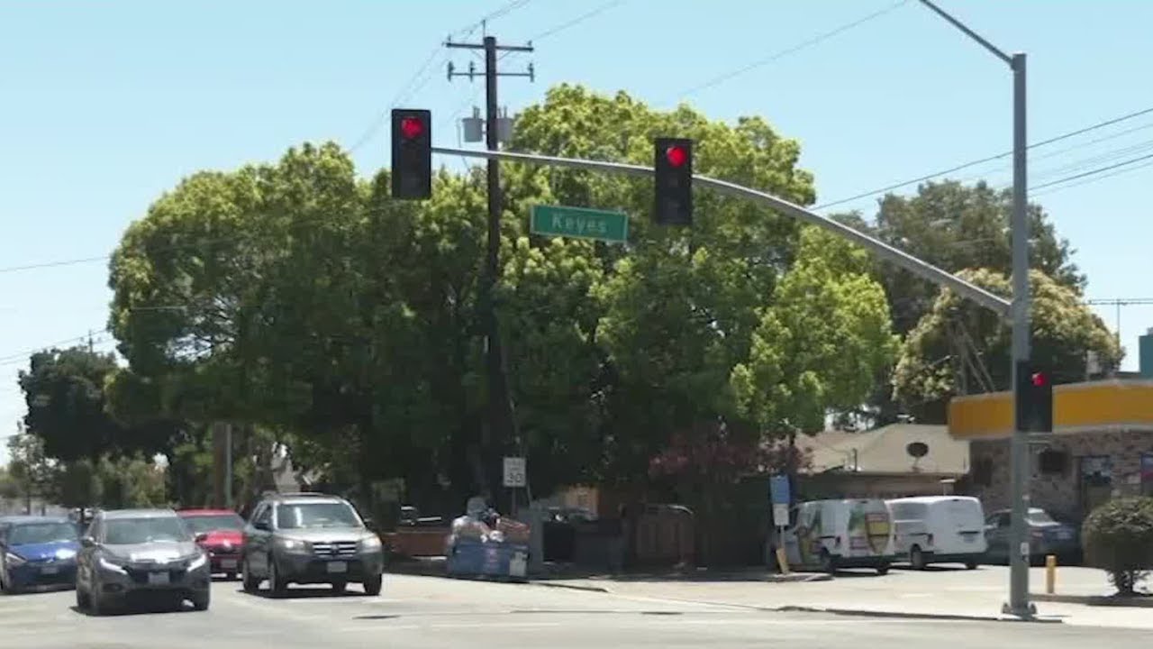 San Jose Police Arrest Man In At Least 7 Air Powered Rifle Shootings