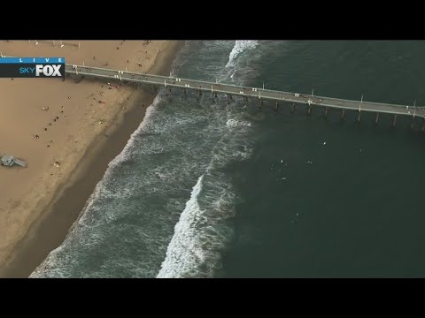 Shark Sighting In Manhattan Beach