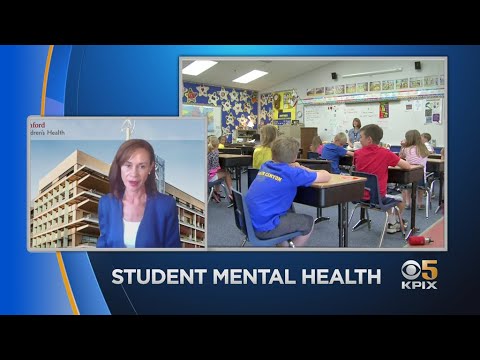 Talking Education: Student Mental Health Program