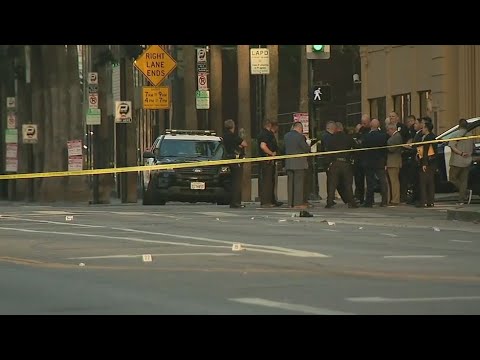 Teen Killed In Hollywood Shooting