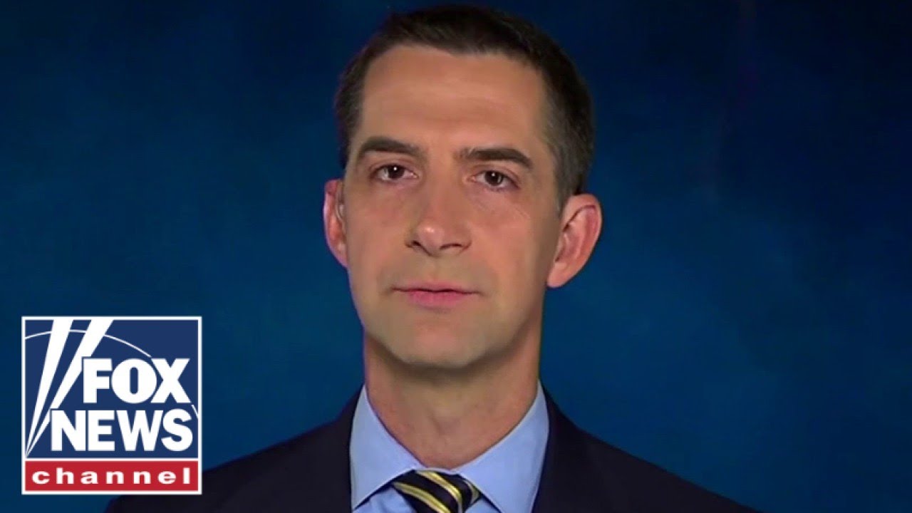 Tom Cotton: ‘this Will Hurt So Many Americans’