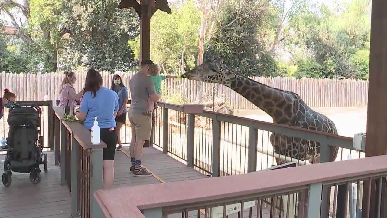 Town Hall Meeting Discusses Potentially Relocating The Sacramento Zoo