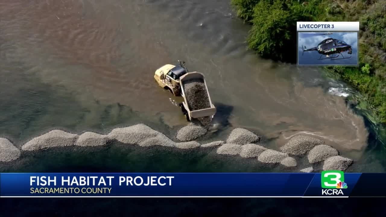 Trucks Dump Rocks Into American River To Help With Salmon Spawning