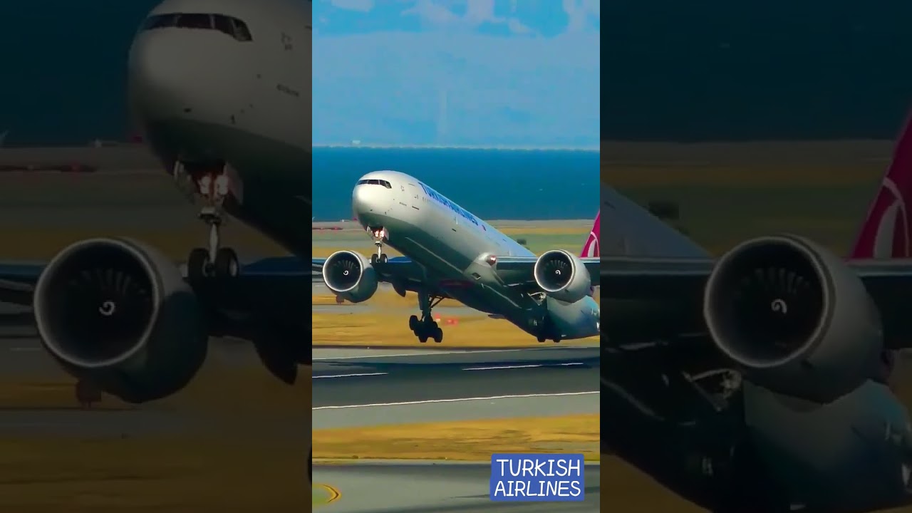 Turkish Airlines Take Off At Airport. #turkish #airport #america #sanfrancisco #france #russia