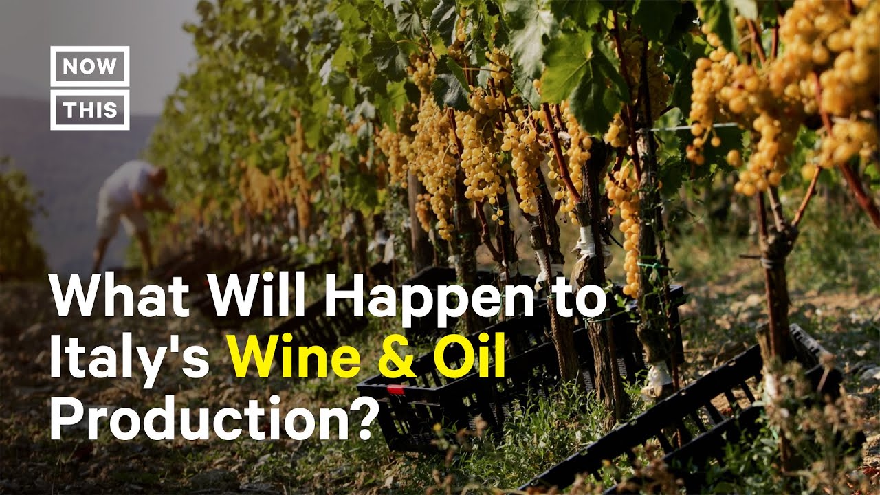 Tuscany’s Drought Is Impacting Wine & Oil Production