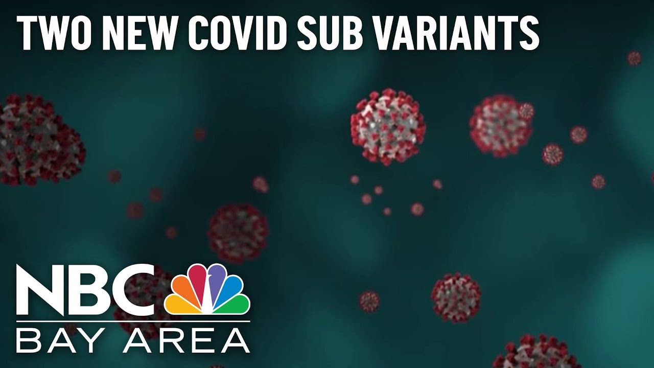 Two New Covid 19 Variants May Be Cause For Concern